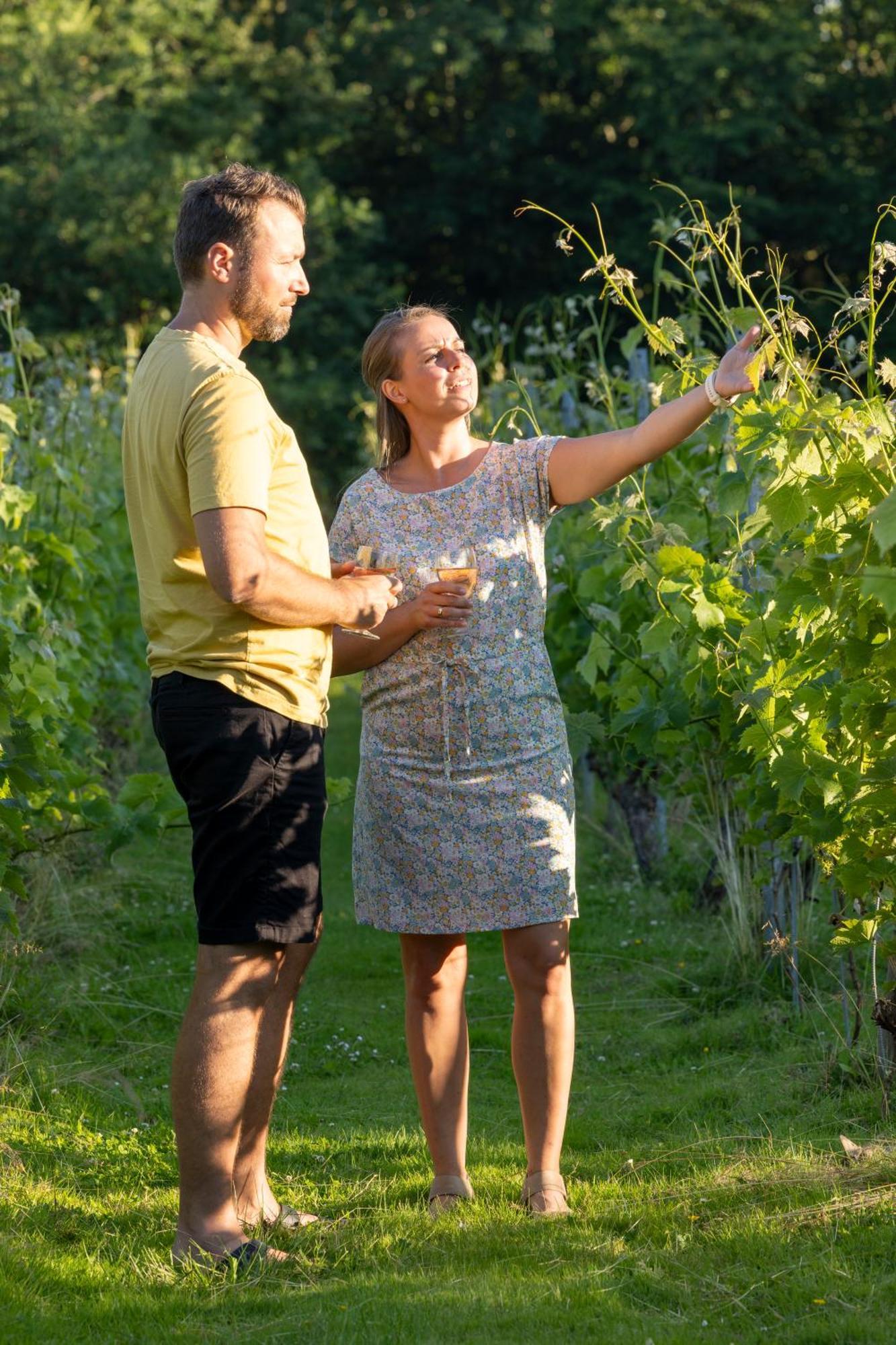 Luxury tent Holmegaard Vin Og Glamping Dannemare